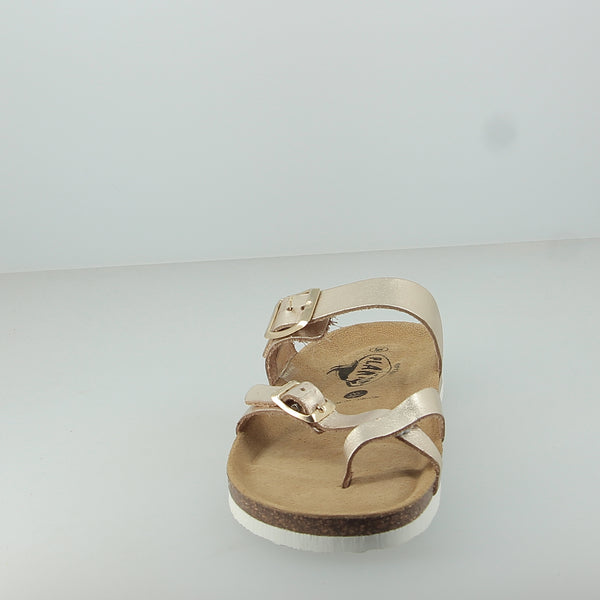 Plakton 181032 Gold Metallic