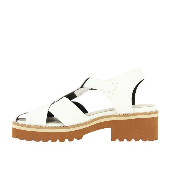Marco Dalessi 221047 WHITE