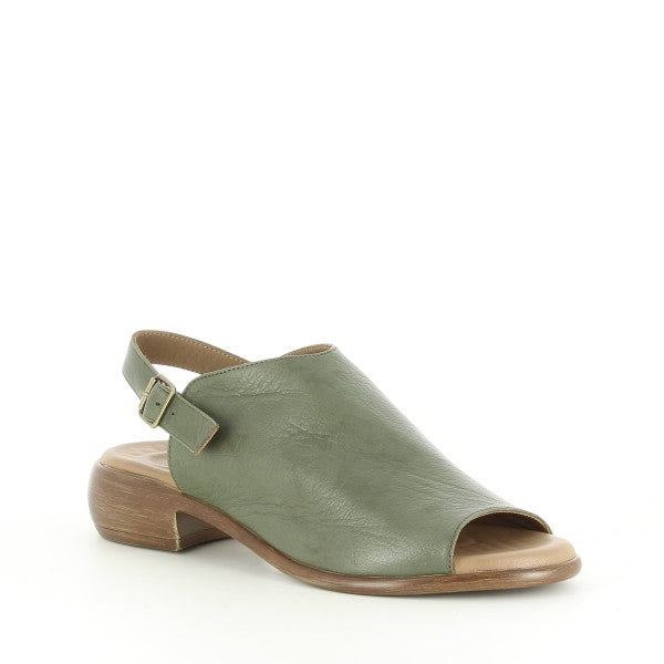 Marco Dalessi MINA KAKI