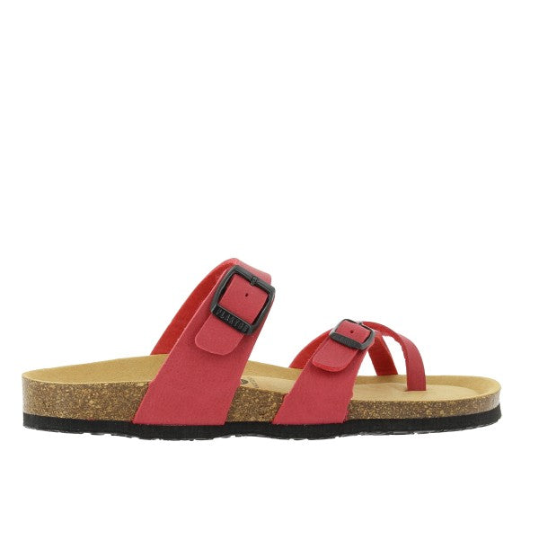 Plakton 181032 ROJO