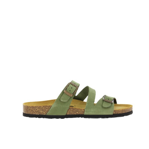 Plakton 181210 OLIVIA