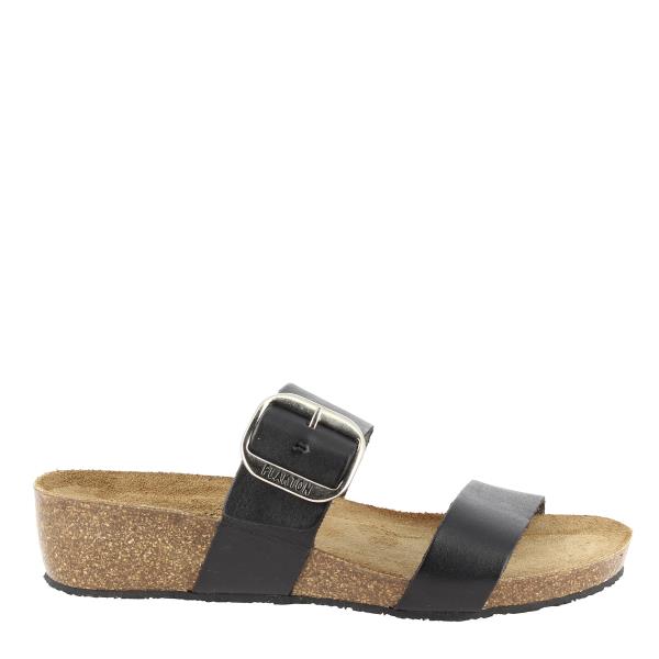 Plakton 243004 GRIS