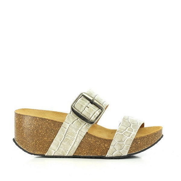 Plakton 273004-CROC CRUDO