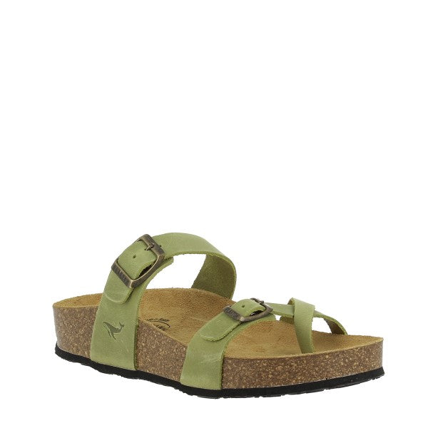 Plakton 341032 PISTACHO