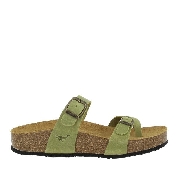 Plakton 341032 PISTACHO