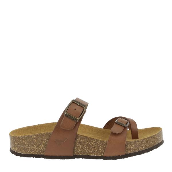 Plakton 341032 TAUPE