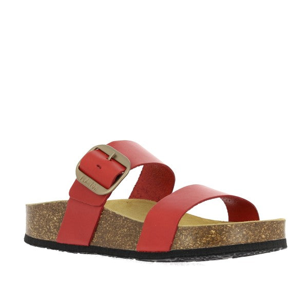 Plakton 343004 ROJO