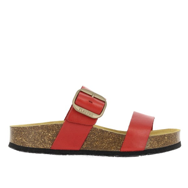 Plakton 343004 ROJO
