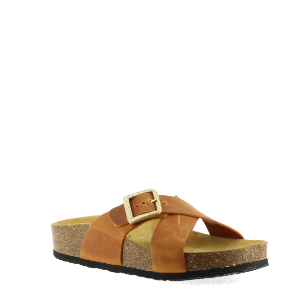 Plakton 345638 CUERO