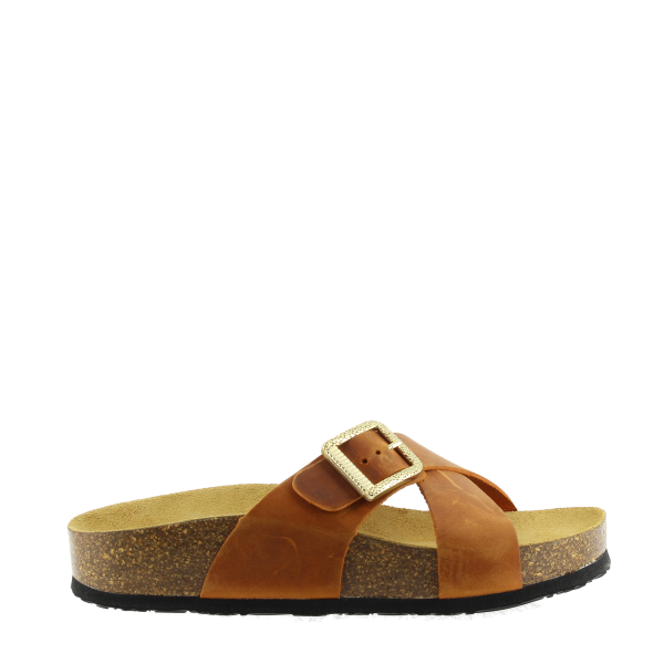 Plakton 345638 CUERO