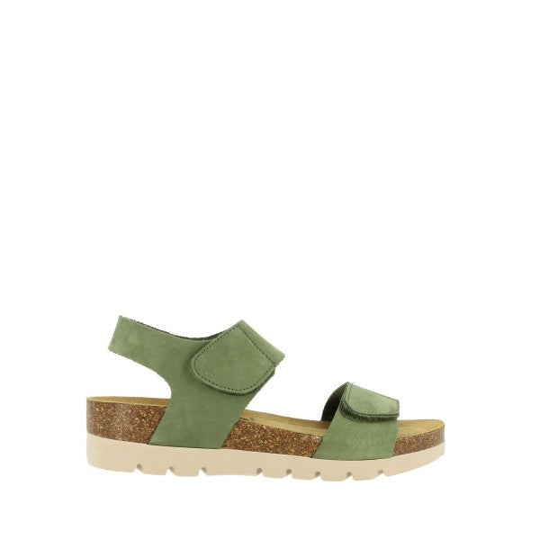 Plakton 355887 OLIVA