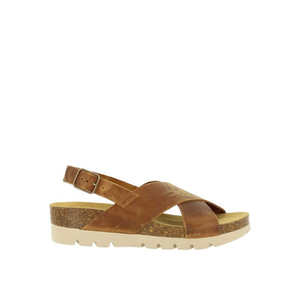 Plakton 356134 ROBLE