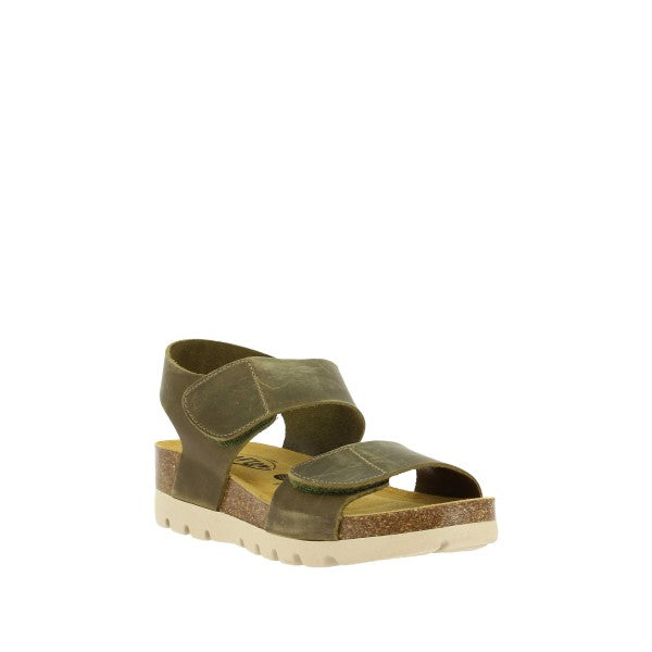 Plakton 355887 KAKI-731