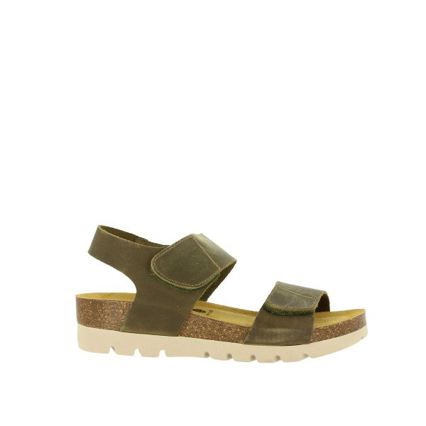 Plakton 355887 KAKI-731