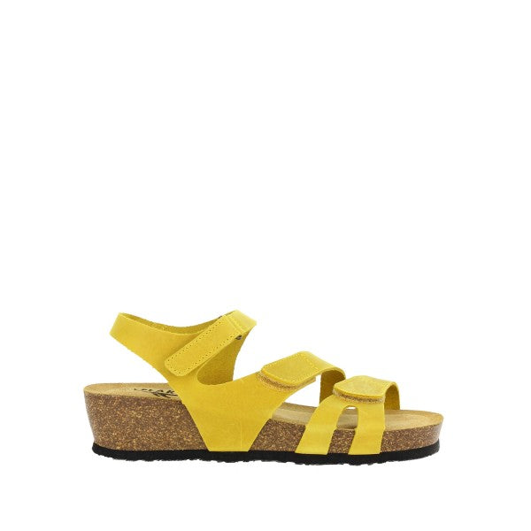 Plakton 826136 AMARILLO