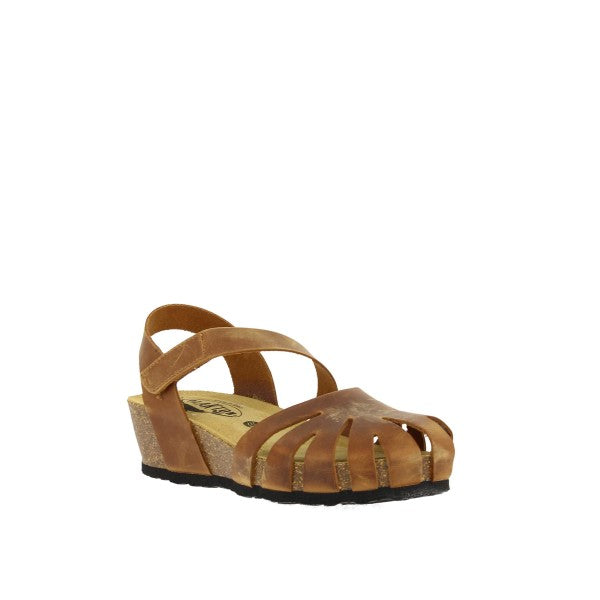 Plakton 826139 ROBLE