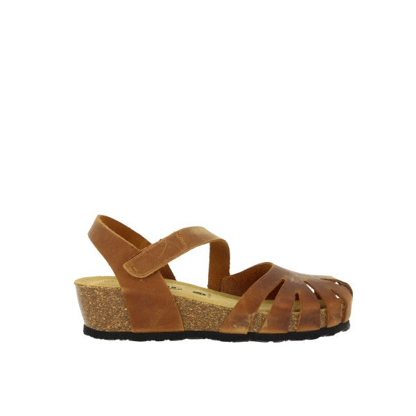 Plakton 826139 ROBLE