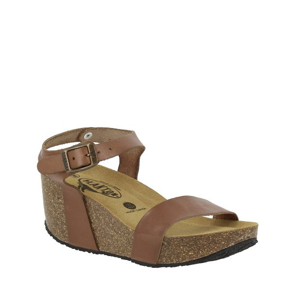 Plakton 873023 BROWN