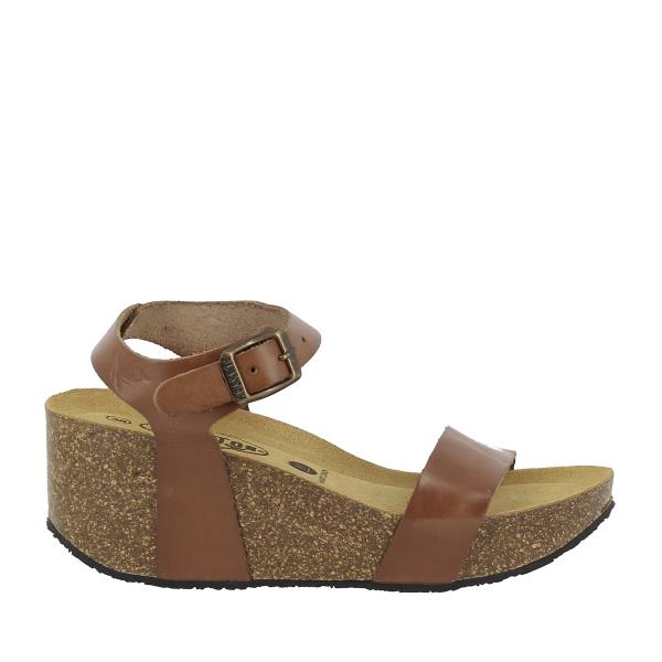 Plakton 873023 BROWN