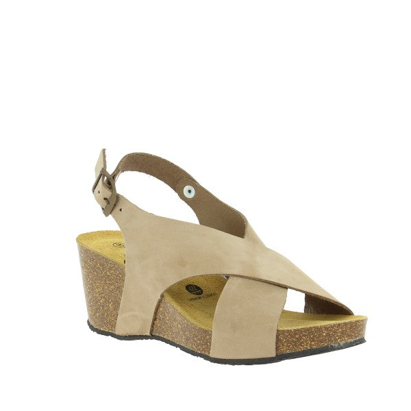 Plakton 885902 TAUPE