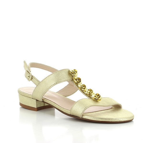 Quait 17626 GOLD
