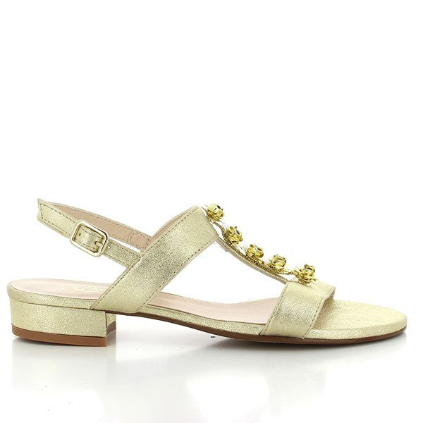 Quait 17626 GOLD