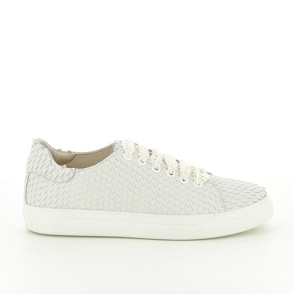 Wave 9148 LATTE